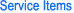 Service Items